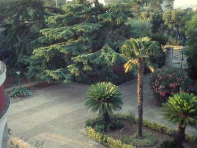 ...una rossa dimora dotata di un elegante giardino abbattuta negli anni 80...